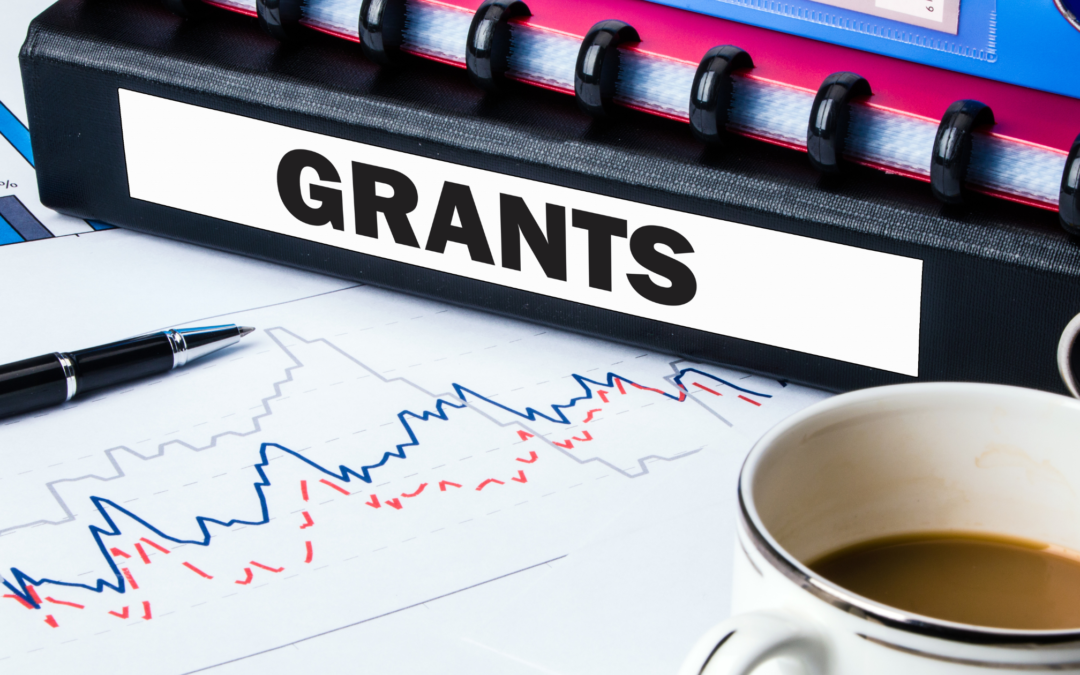 How to get grant funding for One Step Software